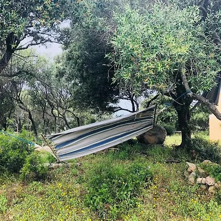 Holiday home Independent In The Nature Near To The Sea Porto Pollo